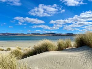 Sand dunes on sandy beach