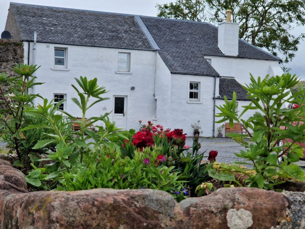 two cottages in the background with flowers in the foreground