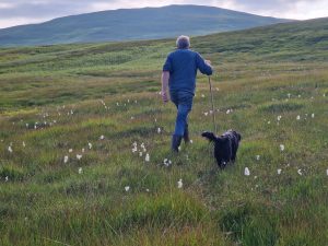 man walking with stick across grassy hillside with a dog beside him