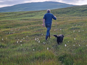 A man walking with a stick through the grass with a dog beside him