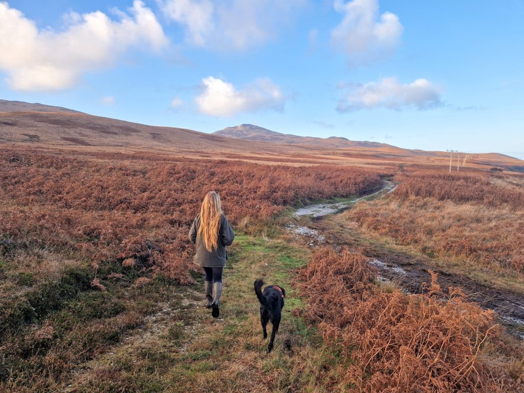 Girl walking along track with dog