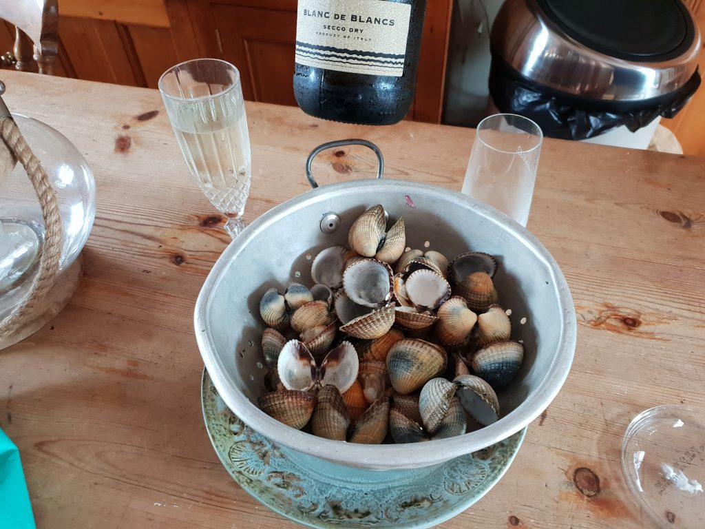 A colander of clam shells and a bottle of white wint