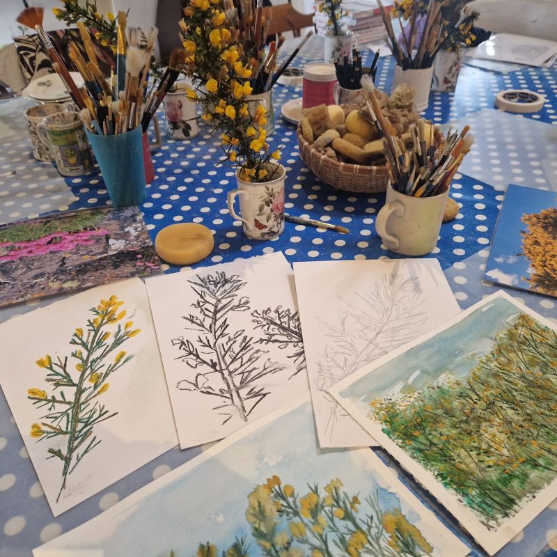 Pieces of paper with sketches of flowers on them